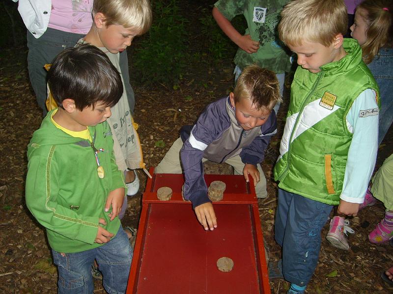 070612 skoalreiske beukers 063.jpg